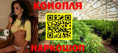 хмурый Обь
