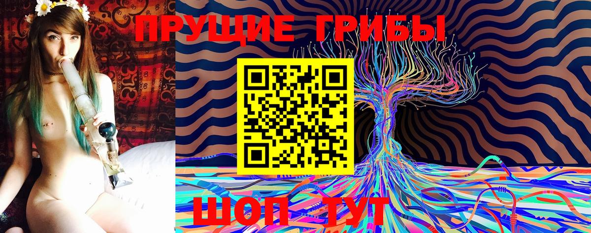 Псилоцибиновые грибы Psilocybine cubensis  Вход с VPN  Семилуки 